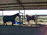 Rancho Sin Nieve